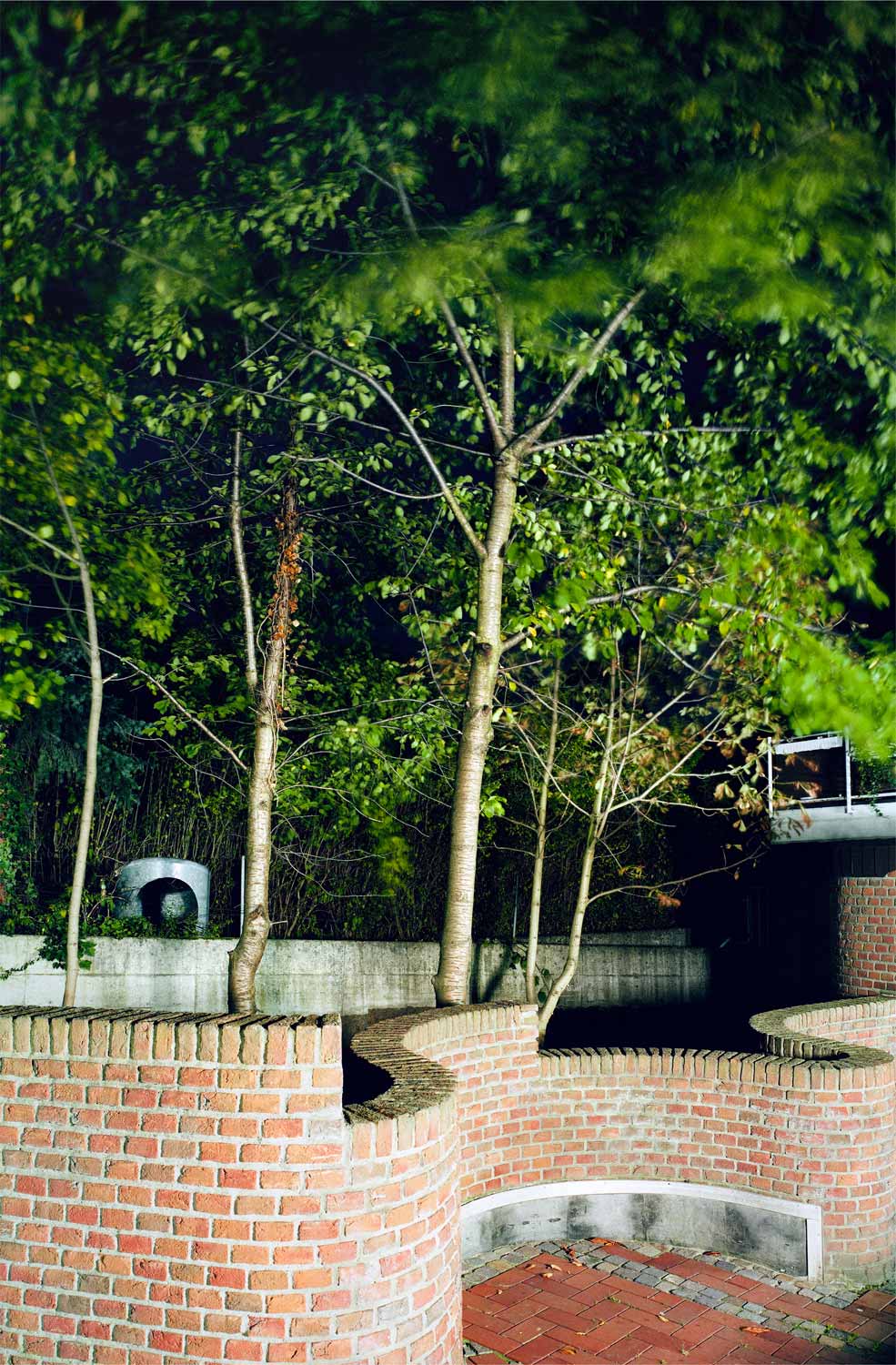 foto: manfred bogner, berlin, bei licht betrachtet