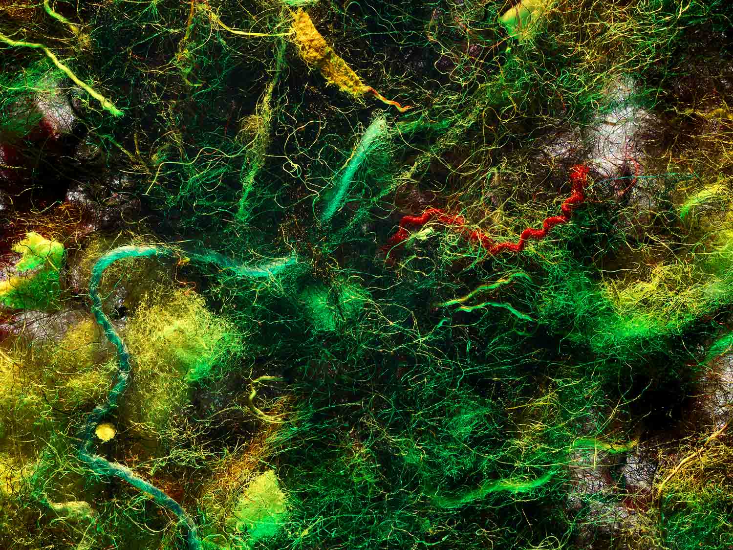 foto: manfred bogner, berlin, nothing to see here