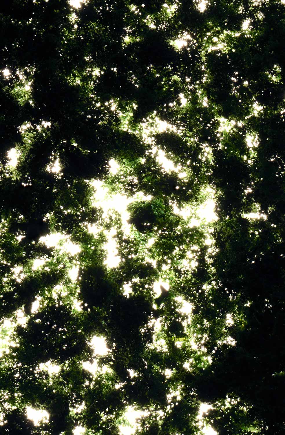 foto: manfred bogner, berlin, nothing to see here